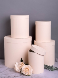 Коробка цилиндр набор из 5шт h30xd30см №83 однотонный пудра