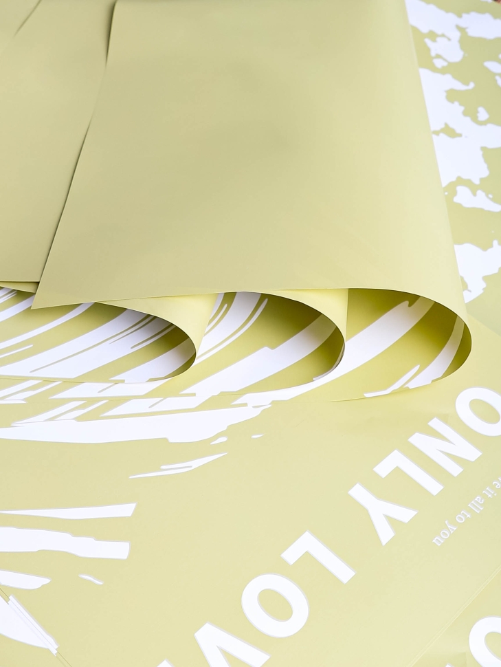 Пленка матовая 58смх58см 10 листов 60мкм РЦ Only love рисунок белый на фисташковом