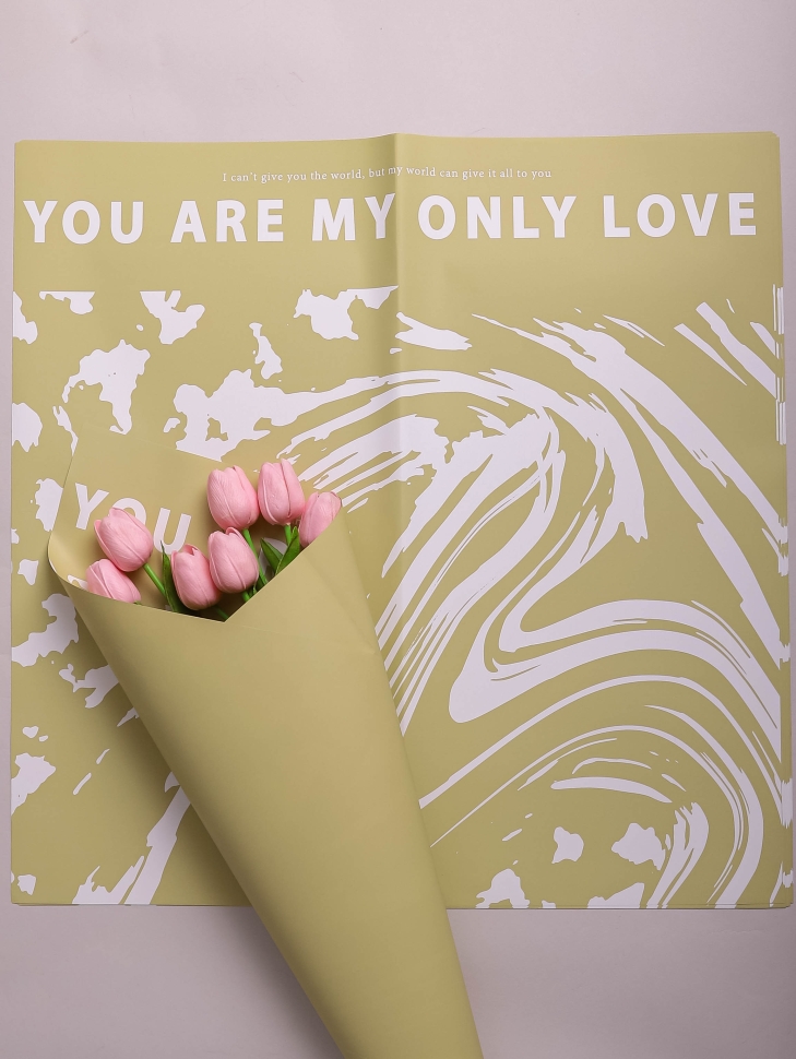 Пленка матовая 58смх58см 10 листов 60мкм РЦ Only love рисунок белый на фисташковом