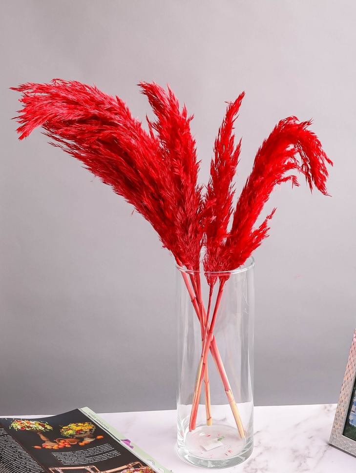 Камыш 65см 40 гр красный Камыш 65см 40 гр красный