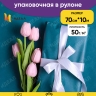 Бумага белая крафт 50г/м2, 70см x 10м, Тонировка, виридиан Бумага белая крафт 50г/м2, 70см x 10м, Тонировка, виридиан