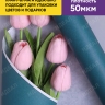 Бумага белая крафт 50г/м2, 70см x 10м, Тонировка, виридиан Бумага белая крафт 50г/м2, 70см x 10м, Тонировка, виридиан