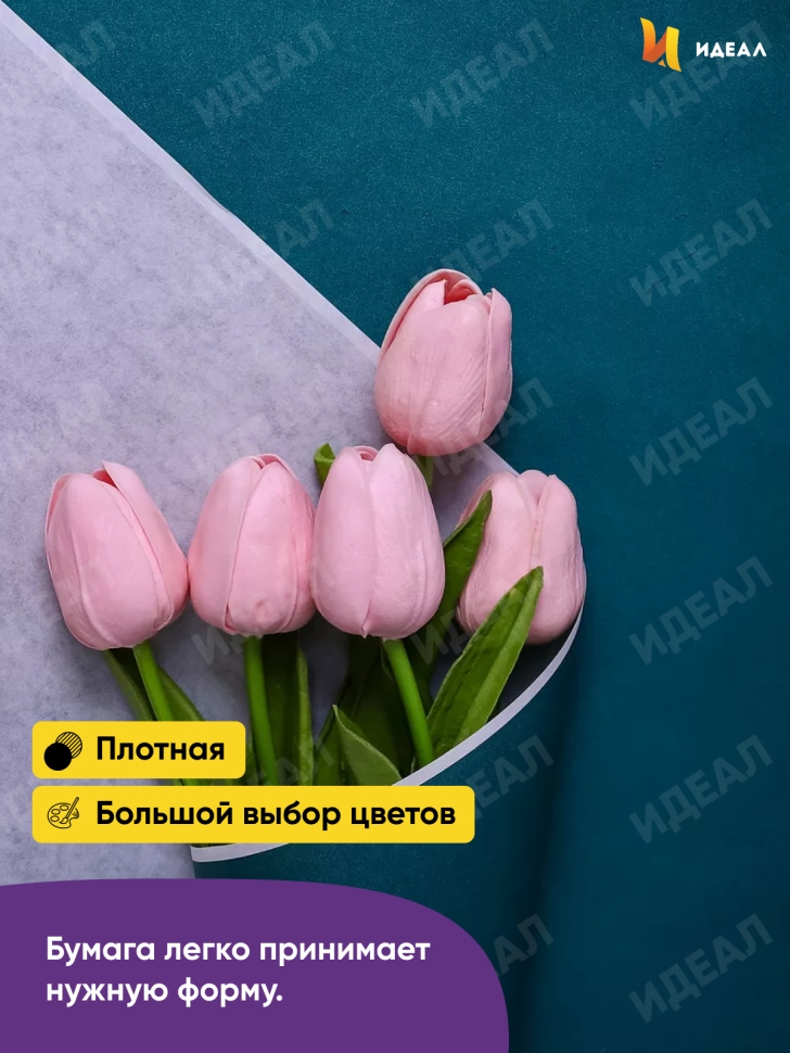 Бумага белая крафт 50г/м2, 70см x 10м, Тонировка, виридиан Бумага белая крафт 50г/м2, 70см x 10м, Тонировка, виридиан