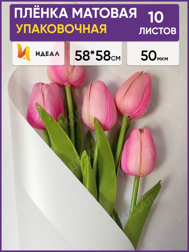 Пленка матовая 58смх58см 10 листов 50мкм РЦ кант 13 белый Пленка матовая 58смх58см 10 листов 50мкм РЦ кант 13 белый