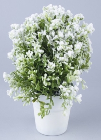 ИЦ Растение заснеженное в кашпо