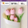 Пленка матовая 58смх58см 10 листов 50мкм РЦ кант 13 кремовый Пленка матовая 58смх58см 10 листов 50мкм РЦ кант 13 кремовый