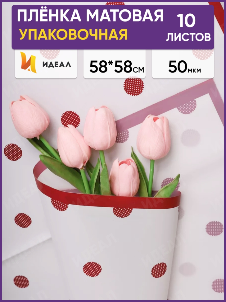 Пленка матовая 58смх58см 10 листов 50мкм РЦ кант горох винный на белом Пленка матовая 58смх58см 10 листов 50мкм РЦ кант горох винный на белом