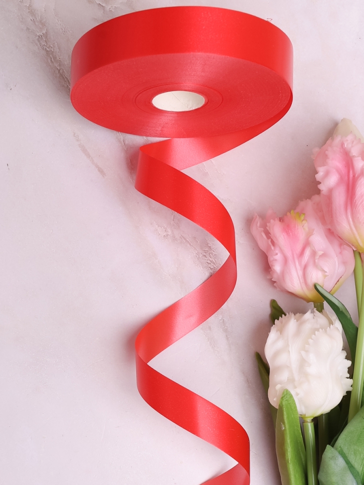 Лента простая 2/100 К алый Лента простая 2/100 К алый