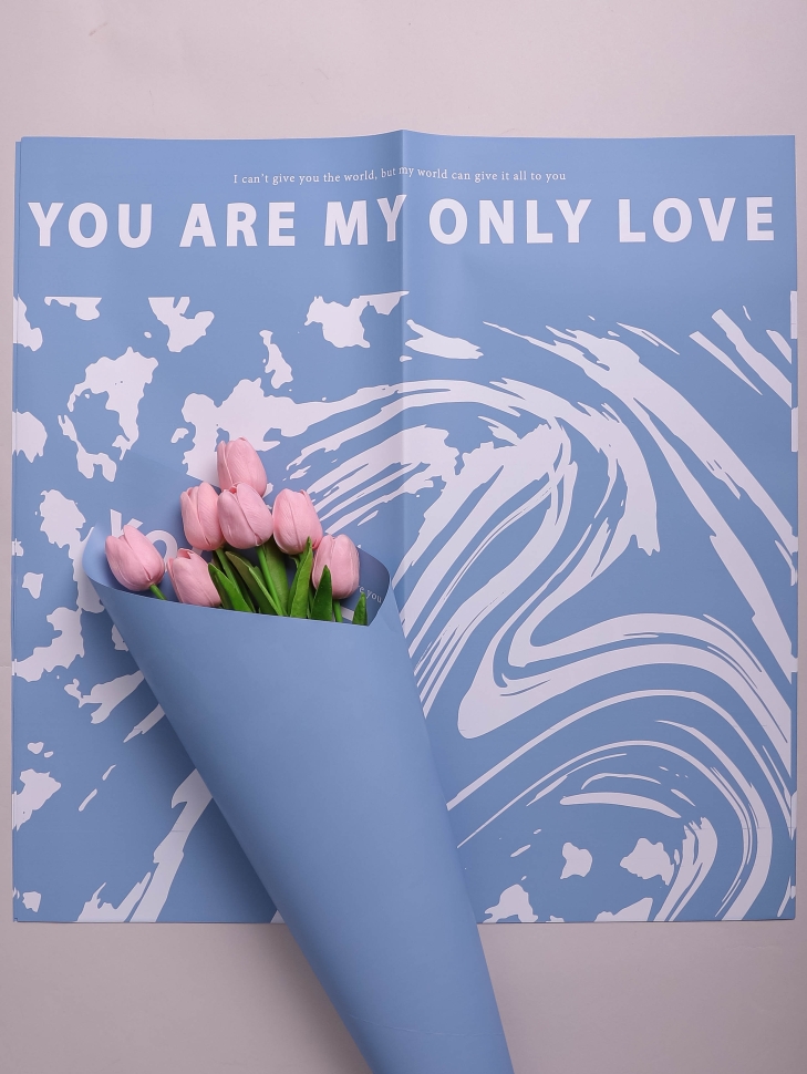 Пленка матовая 58смх58см 10 листов 60мкм РЦ Only love рисунок белый на голубом Пленка матовая 58смх58см 10 листов 60мкм РЦ Only love рисунок белый на голубом