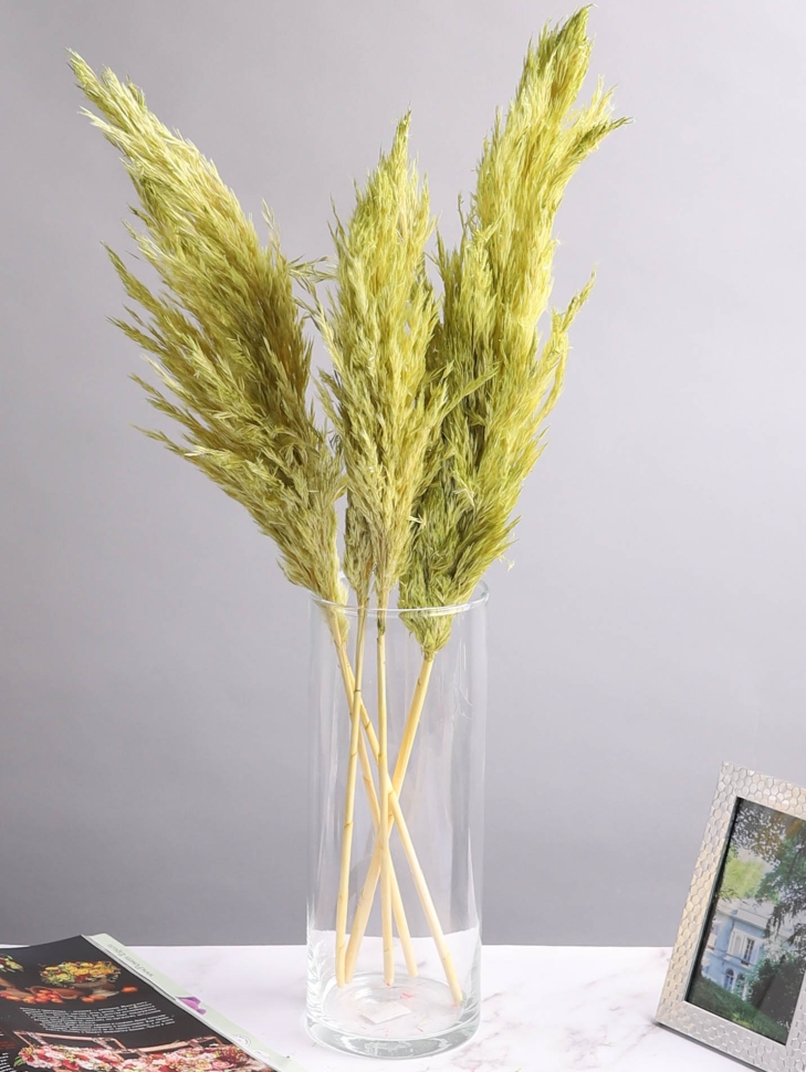 Камыш 65см 40 гр фисташковый