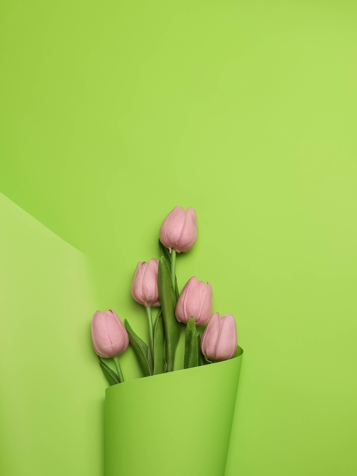 Пленка матовая 65мкм 58см х 10м Ассоль салатовый