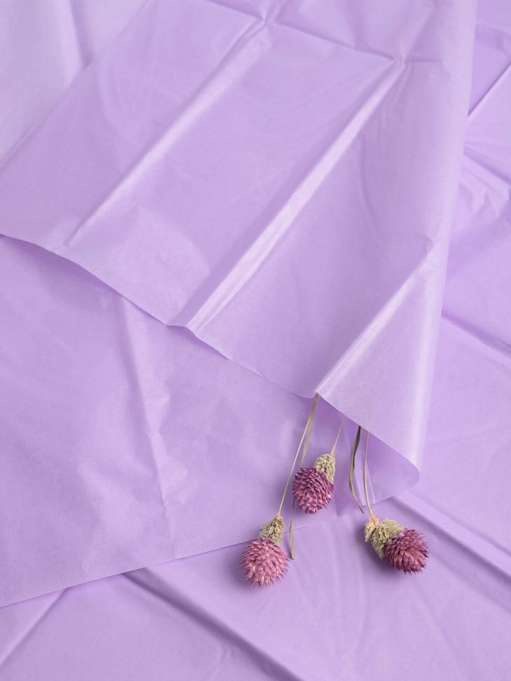 Бумага тишью 50х66см,10 лист. фиолетовый Бумага тишью 50х66см,10 лист. фиолетовый