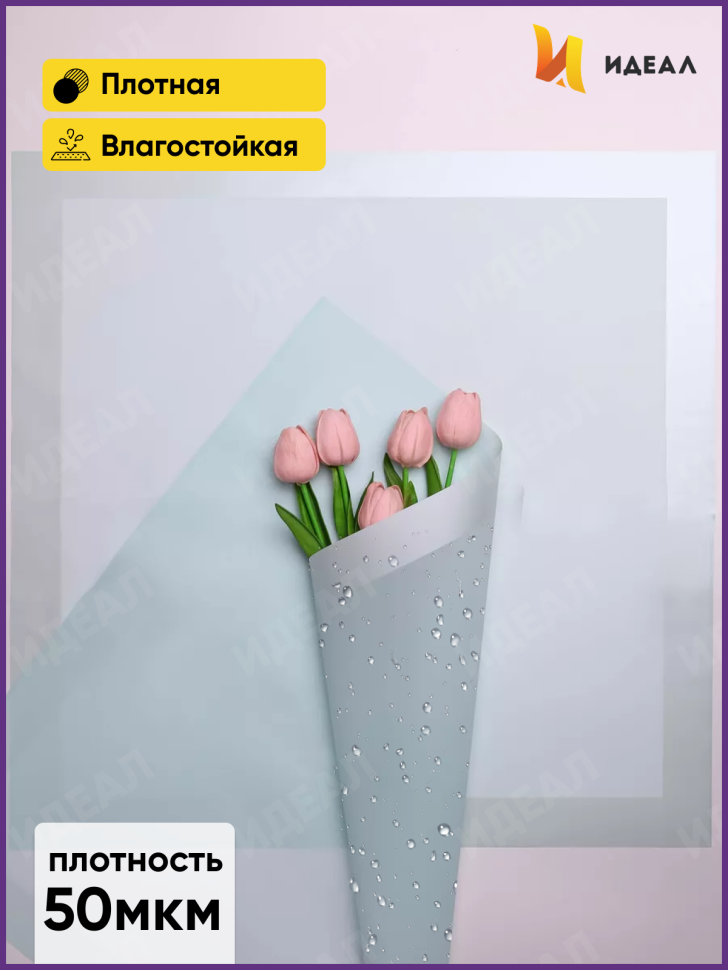 Пленка матовая 58смх58см 10 листов 50мкм РЦ кант 13 мятный Пленка матовая 58смх58см 10 листов 50мкм РЦ кант 13 мятный