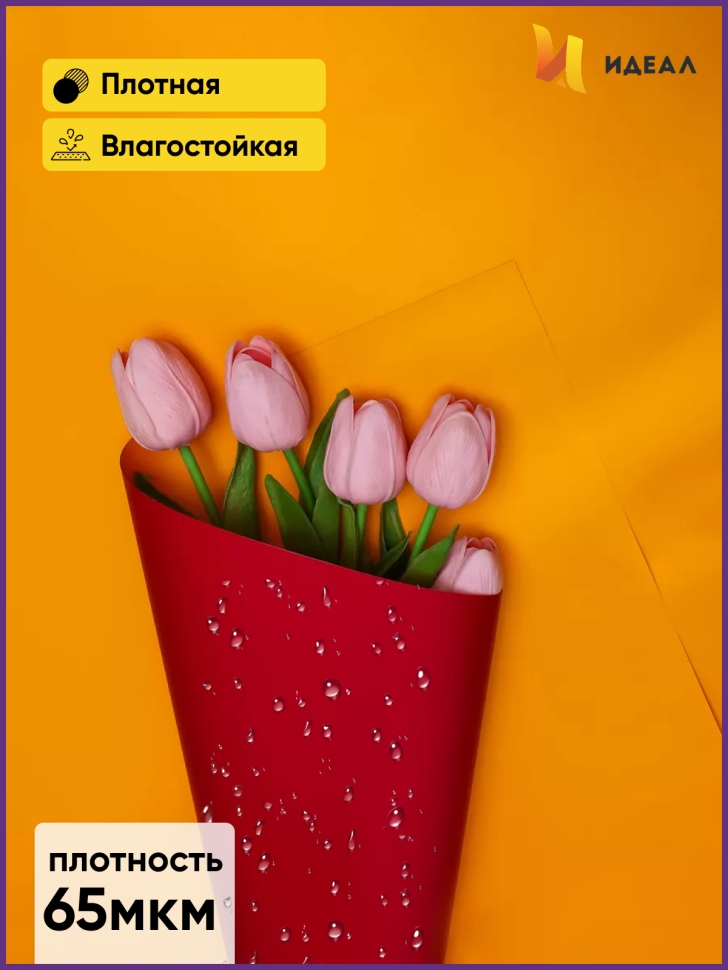 Пленка матовая 58смх58см 10 листов 65мкм РЦ двухцветная бордо/желтый Пленка матовая 58смх58см 10 листов 65мкм РЦ двухцветная бордо/желтый