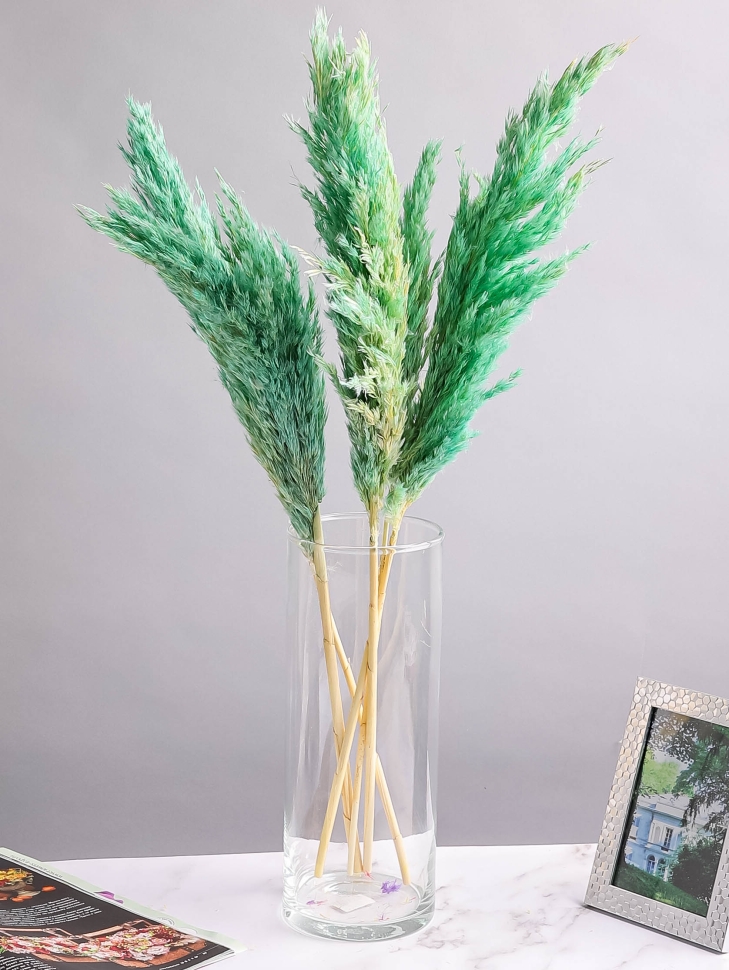 Камыш 65см 40 гр тиффани Камыш 65см 40 гр тиффани