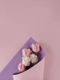 Пленка матовая 58см х 58см 60мкм 10 листов 2-хсторонняя РЦ сиреневый/пудра