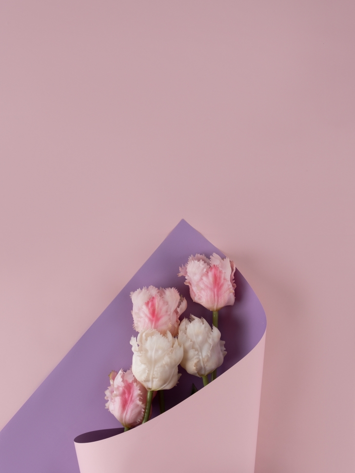 Пленка матовая 58см х 58см 60мкм 10 листов 2-хсторонняя РЦ сиреневый/пудра