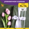 Бумага белая крафт 50г/м2, 70см x 10м, Тонировка, зеленый хвойный Бумага белая крафт 50г/м2, 70см x 10м, Тонировка, зеленый хвойный