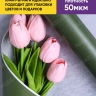 Бумага белая крафт 50г/м2, 70см x 10м, Тонировка, зеленый хвойный Бумага белая крафт 50г/м2, 70см x 10м, Тонировка, зеленый хвойный