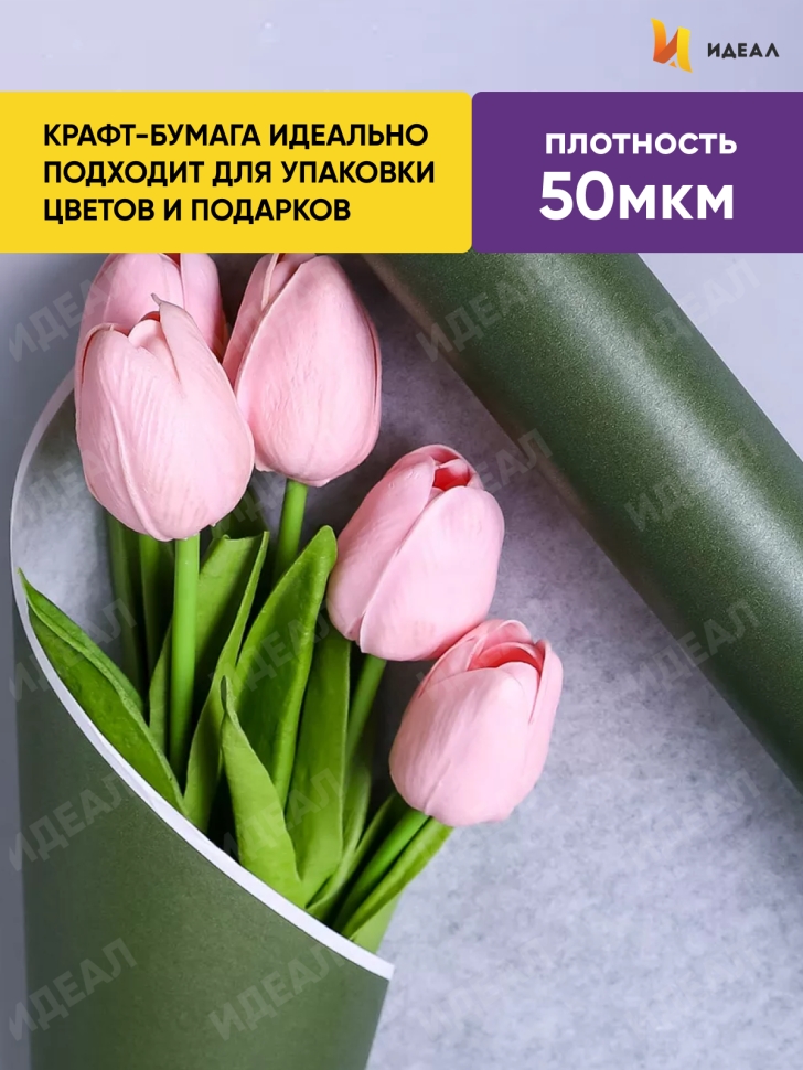 Бумага белая крафт 50г/м2, 70см x 10м, Тонировка, зеленый хвойный Бумага белая крафт 50г/м2, 70см x 10м, Тонировка, зеленый хвойный