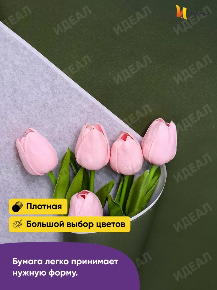 Бумага белая крафт 50г/м2, 70см x 10м, Тонировка, зеленый хвойный Бумага белая крафт 50г/м2, 70см x 10м, Тонировка, зеленый хвойный