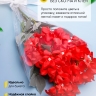 Пакет цветочный Конус 21/80 на 1 розу прозрачный/прозрачный 50 шт Пакет цветочный Конус 21/80 на 1 розу прозрачный/прозрачный 50 шт