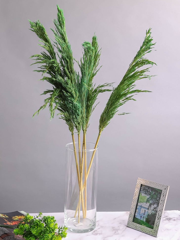 Камыш 65см 40 гр изумрудный