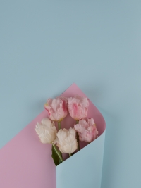 Пленка матовая 58см х 58см 60мкм 10 листов 2-хсторонняя РЦ голубой/розовый жемчуг