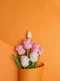 Пленка матовая 50мкм 58см х 10м Флора оранжевый