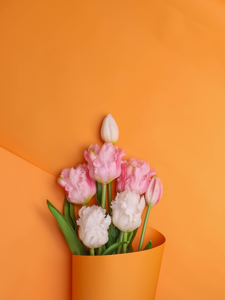 Пленка матовая 50мкм 58см х 10м Флора оранжевый