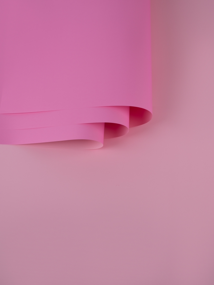 Пленка матовая 58см х 58см 60мкм 10 листов 2-хсторонняя РЦ орхидея/розовый жемчуг