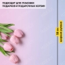 Пленка матовая 65мкм 58см х 10м РЦ переход мятный/пудра Пленка матовая 65мкм 58см х 10м РЦ переход мятный/пудра