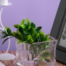 Ваза стекло Квадратная H10х10,5х10,5см К жатая Ваза стекло Квадратная H10х10,5х10,5см К жатая