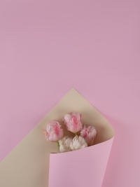 Пленка матовая 58см х 58см 60мкм 10 листов 2-хсторонняя РЦ слоновая кость/розовый жемчуг