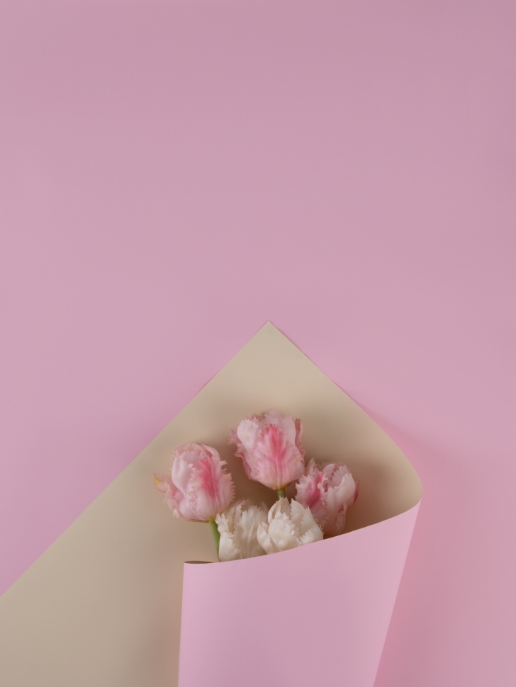 Пленка матовая 58см х 58см 60мкм 10 листов 2-хсторонняя РЦ слоновая кость/розовый жемчуг