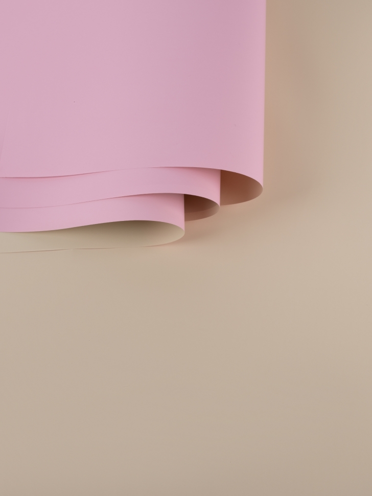 Пленка матовая 58см х 58см 60мкм 10 листов 2-хсторонняя РЦ слоновая кость/розовый жемчуг