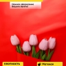 Пленка матовая Пастель 58см х 10м на втулке, красный Пленка матовая Пастель 58см х 10м на втулке, красный