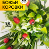 Липучка Божья коровка 24шт. Biedronka 2 (1,5см)