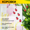 Липучка Божья коровка 24шт. Biedronka 2 (1,5см)