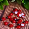 Липучка Божья коровка 24шт. Biedronka 2 (1,5см)