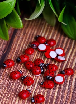 Липучка Божья коровка 24шт. Biedronka 2 (1,5см)