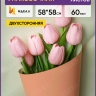Пленка матовая 58см х 58см 60мкм 10 листов Двухсторонняя оранжевый пастель/фисташковый Пленка матовая 58см х 58см 60мкм 10 листов Двухсторонняя оранжевый пастель/фисташковый