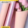 Пленка матовая 60мкм 58см х 10м РЦ 2-х сторонняя Розовое золото, персиковый Пленка матовая 60мкм 58см х 10м РЦ 2-х сторонняя Розовое золото, персиковый