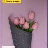 Пленка матовая 58смх58см 10 листов 65мкм РЦ двухцветная графит/магнолия Пленка матовая 58смх58см 10 листов 65мкм РЦ двухцветная графит/магнолия