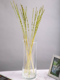 Расграс 60см 20гр 21шт фисташковый