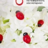 Липучка Божья коровка 24шт. Biedronka 3 (1,9см)