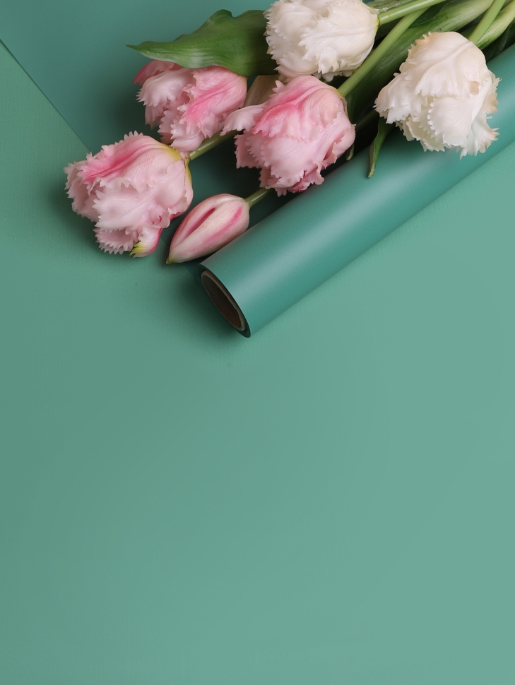 Пленка матовая 60см х 10м  на втулке виридиан