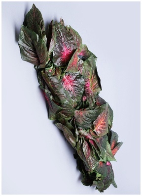 ИЦ Ветка свисающий колеус ТУЛУЗА 110см 18 веток красный