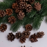 Шишки сосновые север, 3см, 50шт. мини натуральные