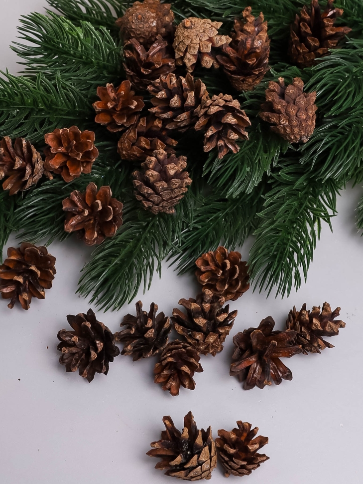 Шишки сосновые север, 3см, 50шт. мини натуральные